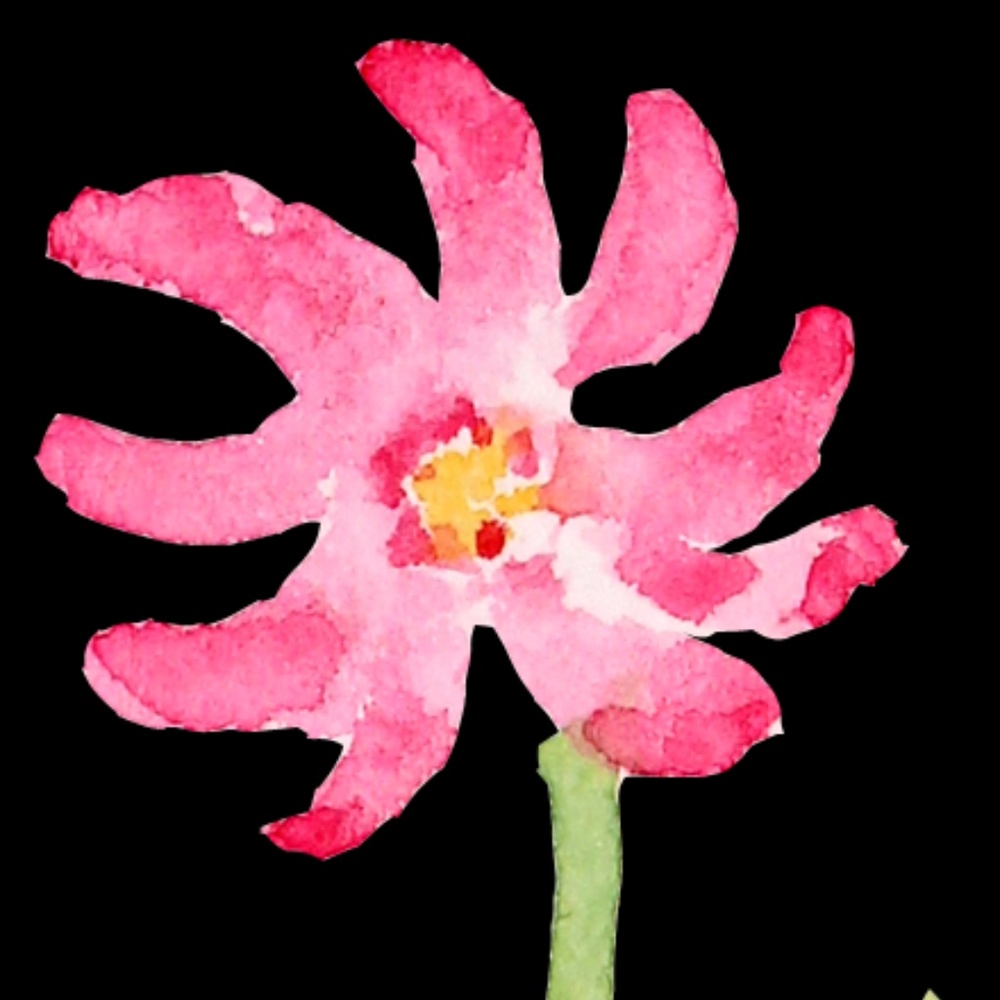 Meet your Posher, Katherine